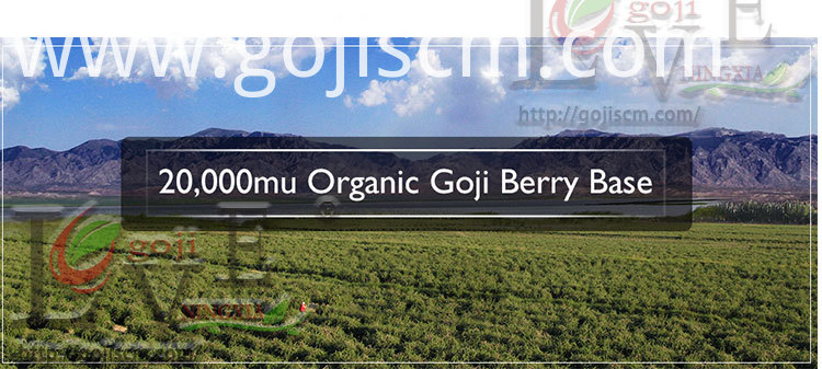 Advantages Goji Berry base Advantages Goji Berry base
